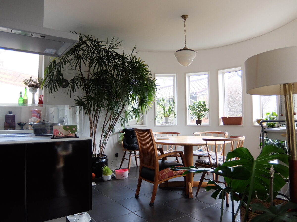 抜群に暮らしやすい平屋